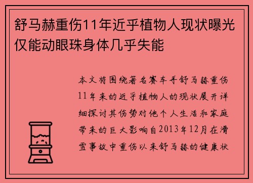 舒马赫重伤11年近乎植物人现状曝光仅能动眼珠身体几乎失能